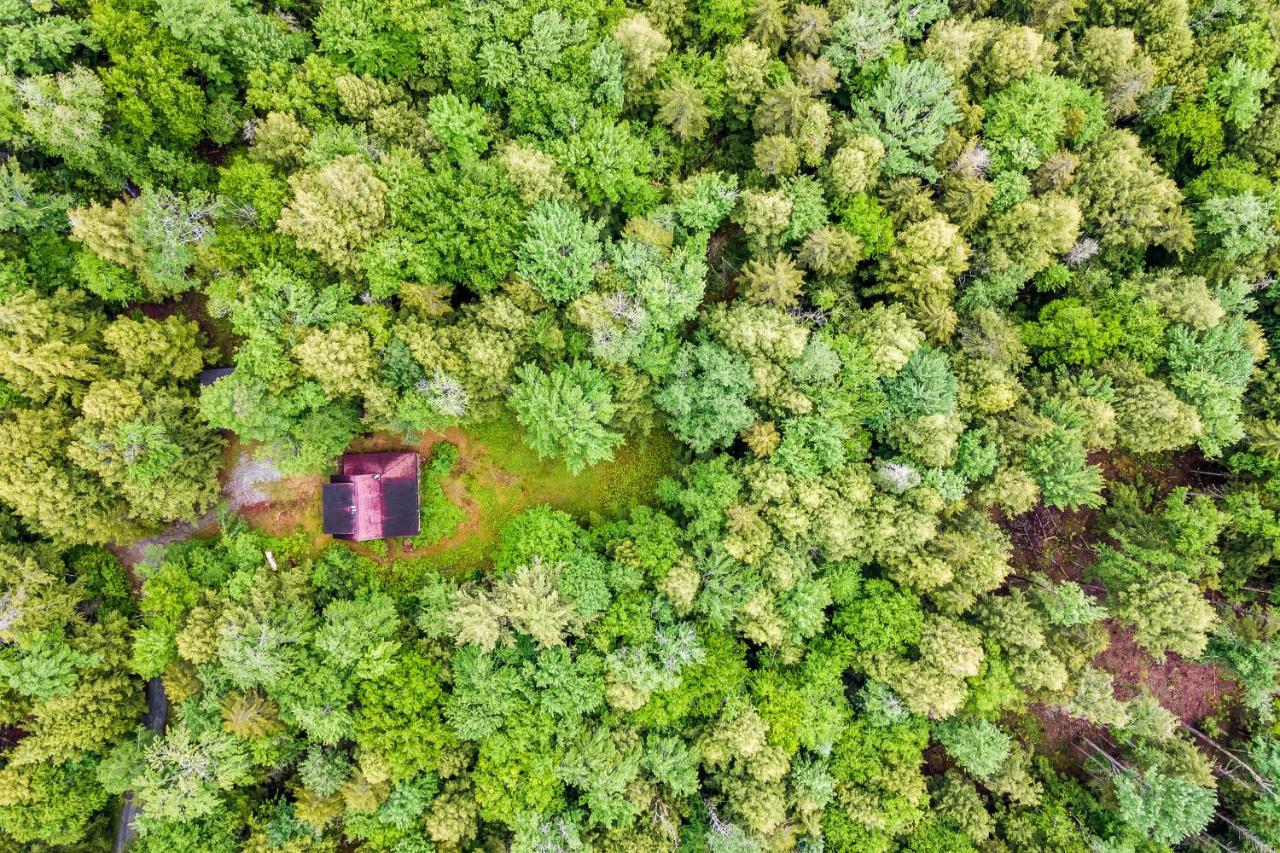 Lost Pond Cabin Schroon Lake Kültér fotó